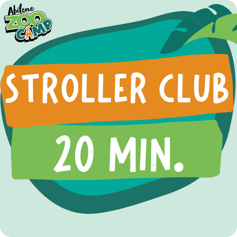 Summer Camp Stroller Club 1