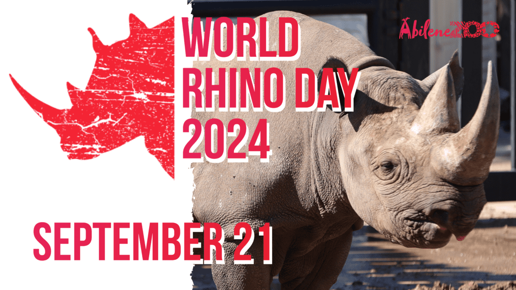 WorldRhinoDay Graphics 2 01